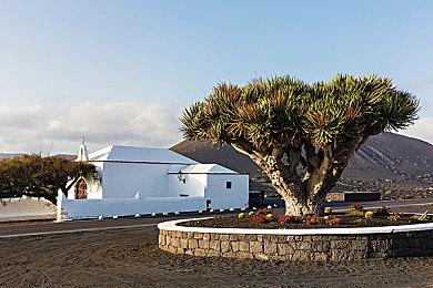 国产RPG《部落与弯刀》正式版反向跳票 今日发售