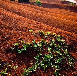 《艾尔登法环：黑夜君临》PS4＆5版容量曝光 不到22GB