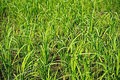 育碧员工组织发文称一年前的诉求无一得到满足